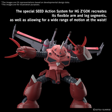 Load image into Gallery viewer, 1/144 HG Z&#39;GOK (SEED FREEDOM)
