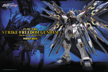 Load image into Gallery viewer, 1\60 PG STRIKE FREEDOM
