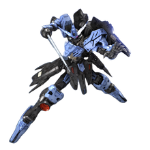 Load image into Gallery viewer, MG 1/100 GUNDAM VIDAR
