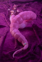 Load image into Gallery viewer, Arcnadea ,Meltina
