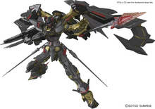 Load image into Gallery viewer, RG 1\144 ASTRAY GOLD FRAME AMATSU MINA
