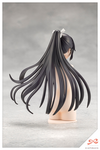 Arrange Wig Hime Cut Pony Tail