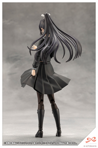 Arrange Wig Hime Cut Pony Tail