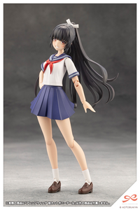 Arrange Wig Hime Cut Pony Tail